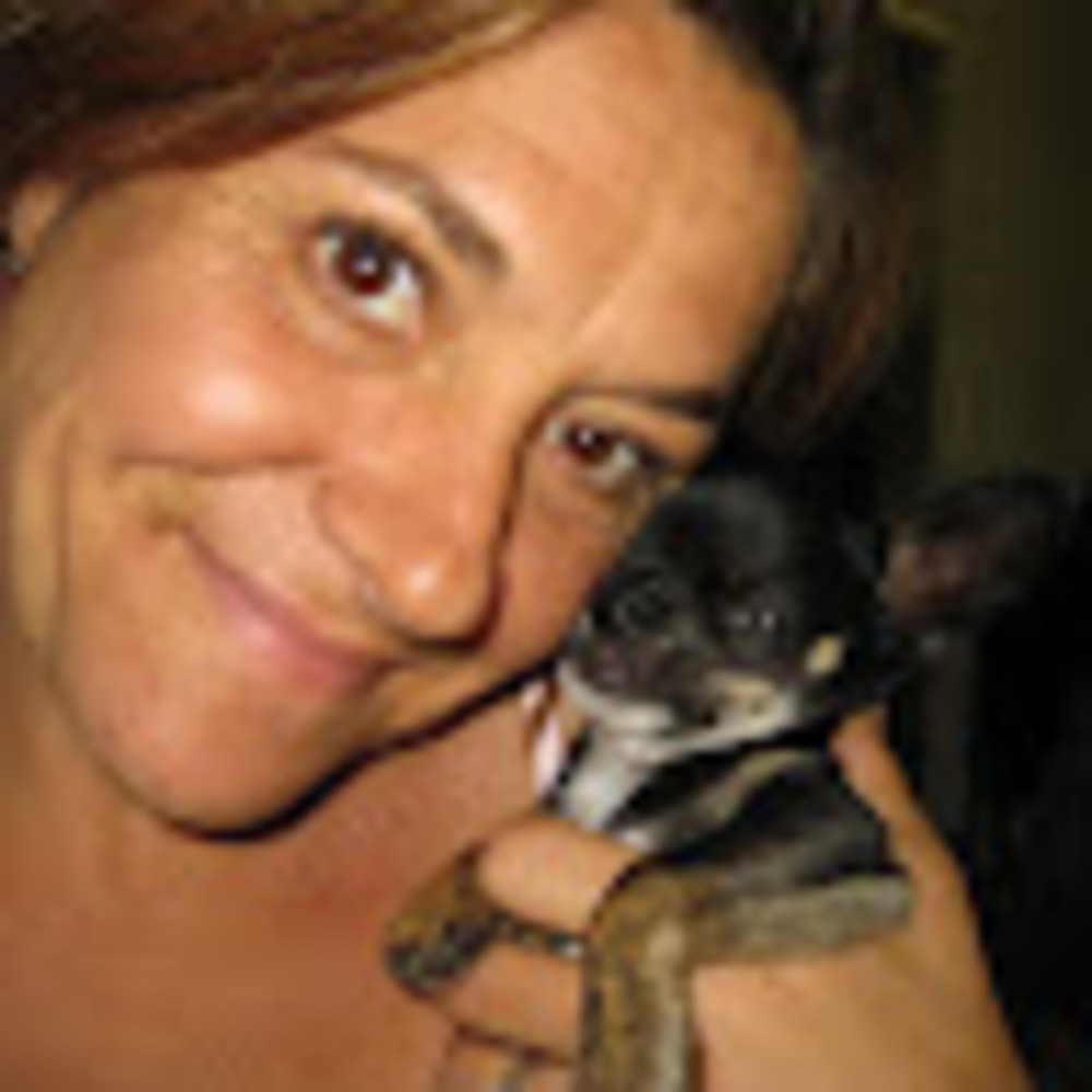 Meet your Posher, Joy